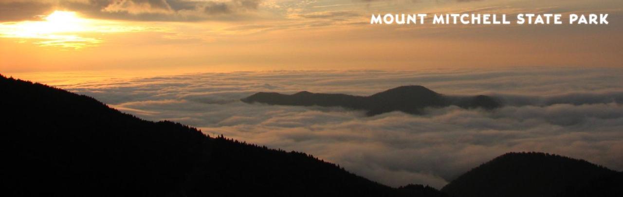 Treetops Cabin Easy To Asheville With Fast Wifi And Great View Swiss Zewnętrze zdjęcie