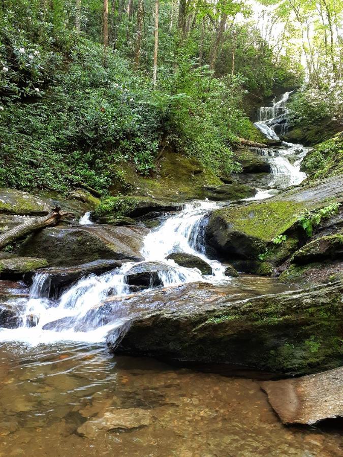 Treetops Cabin Easy To Asheville With Fast Wifi And Great View Swiss Zewnętrze zdjęcie