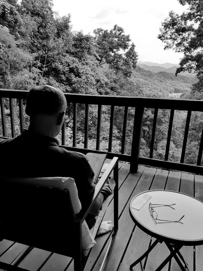 Treetops Cabin Easy To Asheville With Fast Wifi And Great View Swiss Zewnętrze zdjęcie